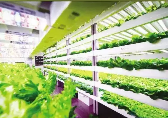 南京諾爾迅亮化,照明亮化工程 南京諾爾迅亮化,照明亮化工程