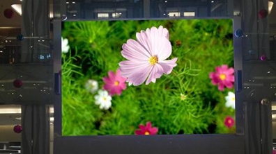 <b>Mini LED來勢洶洶，OLED還扛得住嗎？</b>